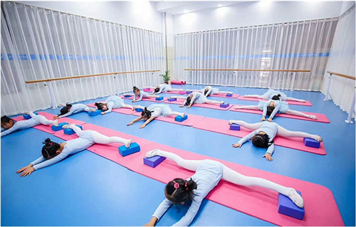 室内专用特等pvc运动地板