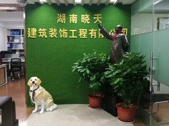 长沙pvc地板,长沙塑胶地板,长沙塑胶地板厂家,长沙pvc地板批发,pvc运动地板